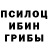 Псилоцибиновые грибы GOLDEN TEACHER Olga Gap