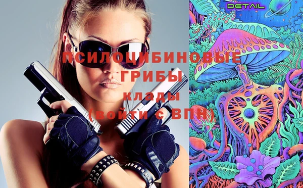 гидропоника Абаза