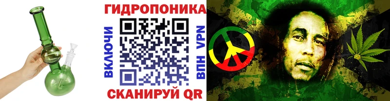 площадка клад  Прокопьевск  Конопля Amnesia  что такое наркотик 